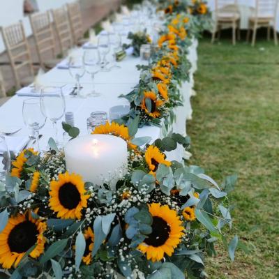 485187296 1126906186116755 9147657326103493011 N